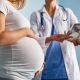 adeslas embarazo seguro